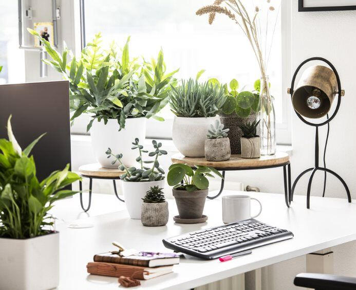 Subtiel alternatief voor stoelmassage, ontspanning door aanraking